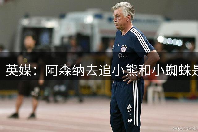 英媒：阿森纳去追小熊和小蜘蛛是浪费时间 应该更现实点